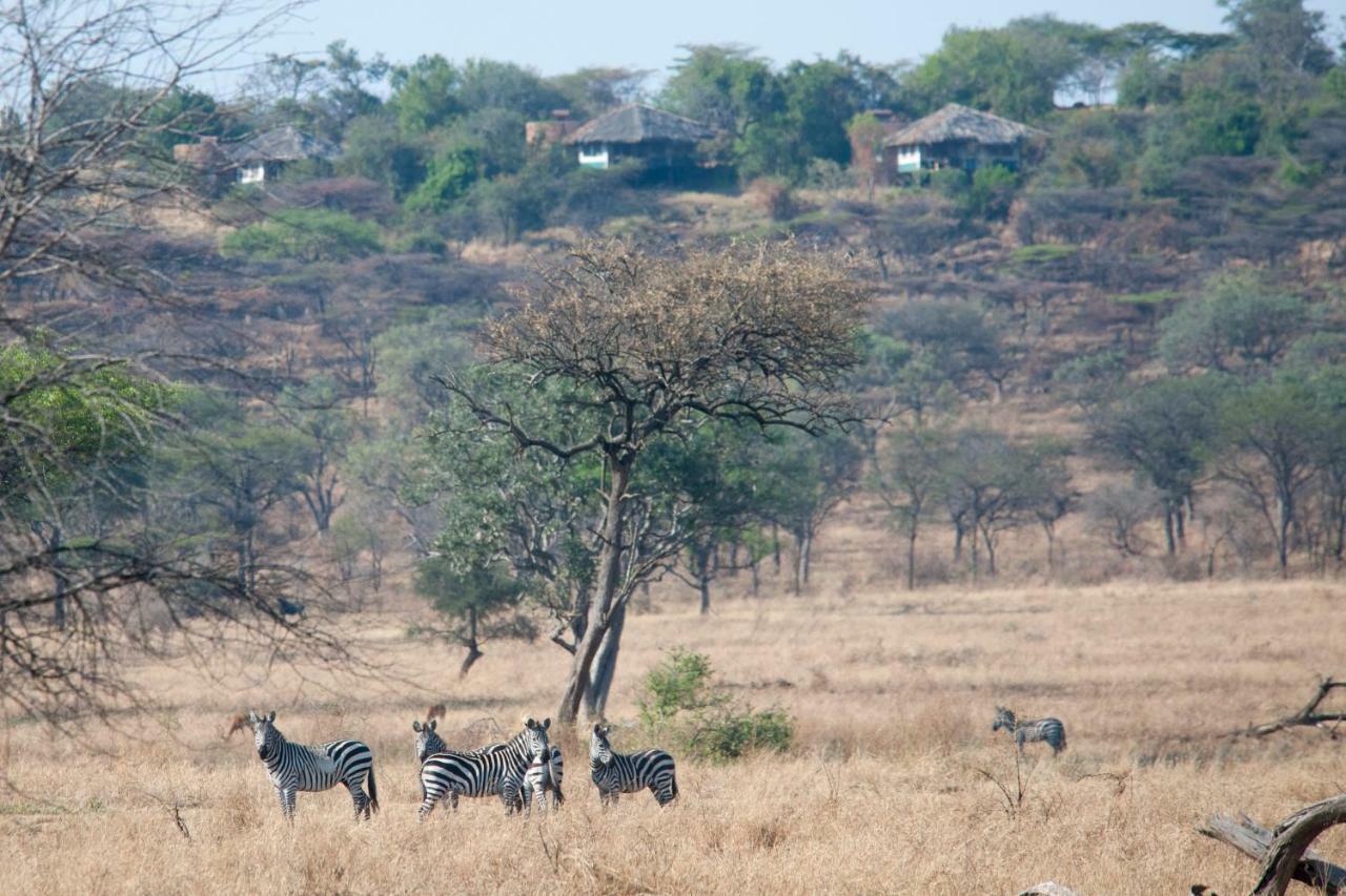 Mbalageti Serengeti Exteriör bild
